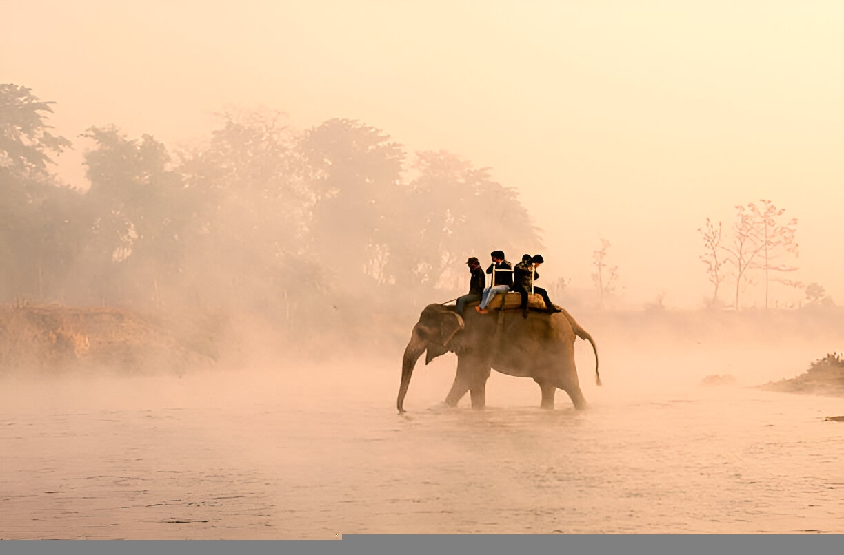 Kathmandu and Chitwan Tour
